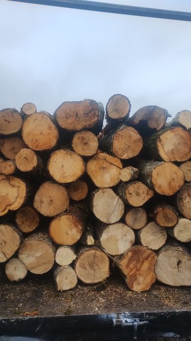 Vand lemne de foc carpen