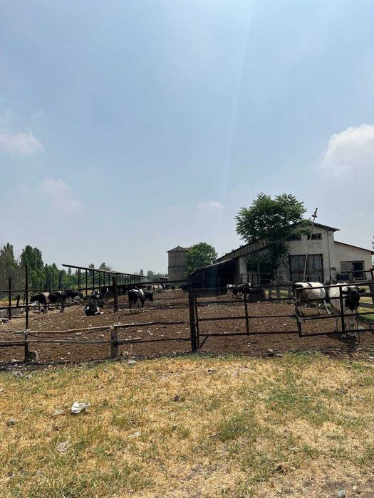 Yer sotiladi, 4 gektar (4500$)