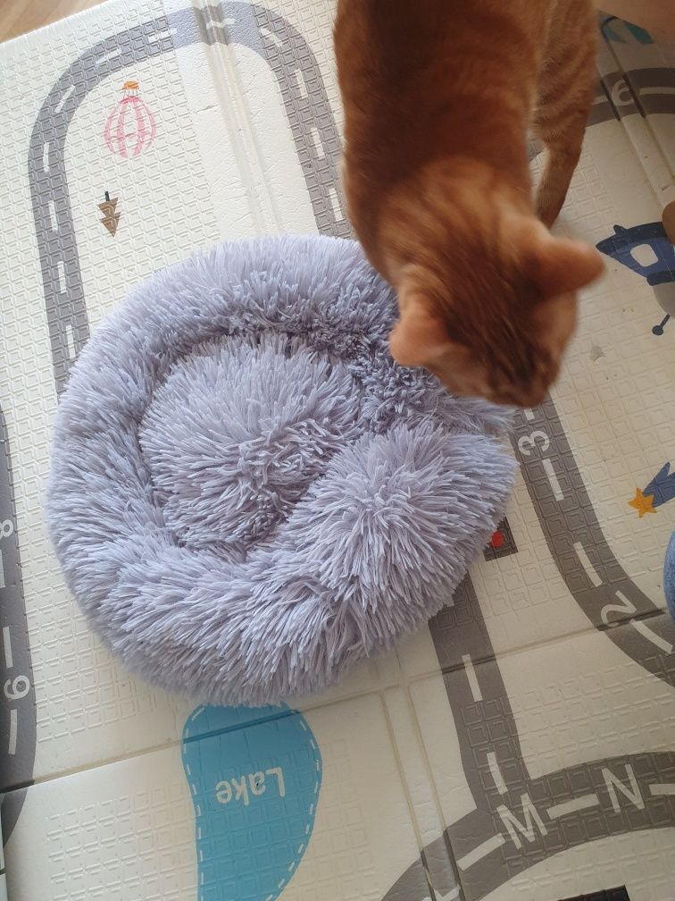 Възглавничка за котки