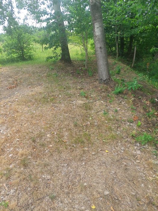 Vand teren intravilan