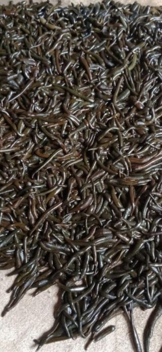 Продаётся пятки хорошие аптечные любые размеры есть