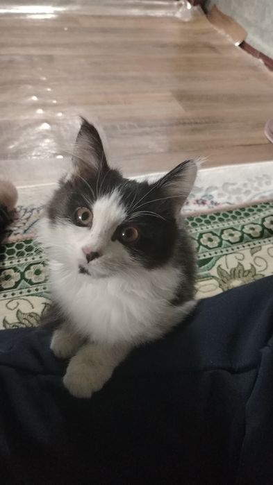 Даём хорошие руки