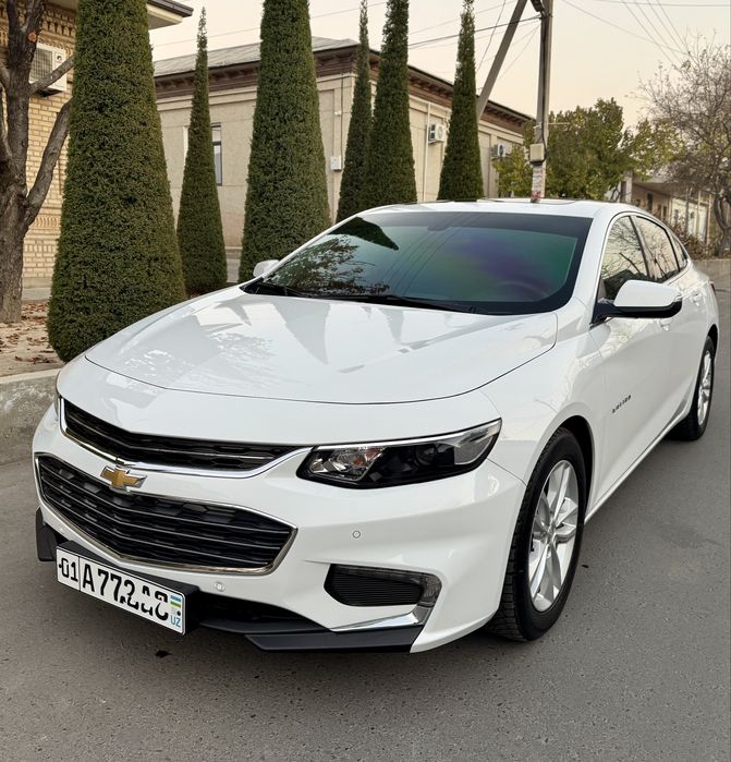 MALIBU-2 / 2.4 Rangi oq