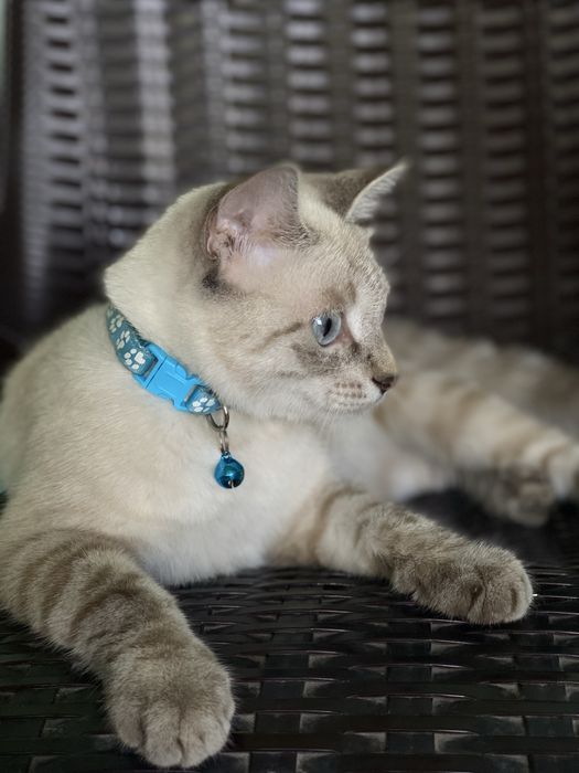 Продается. Sotiladi