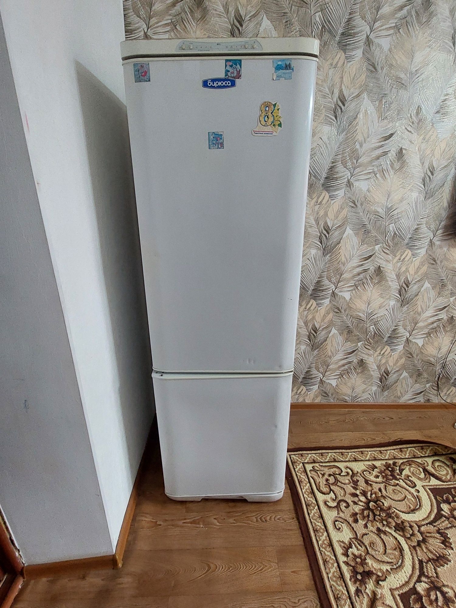 Холодильник Бирюса