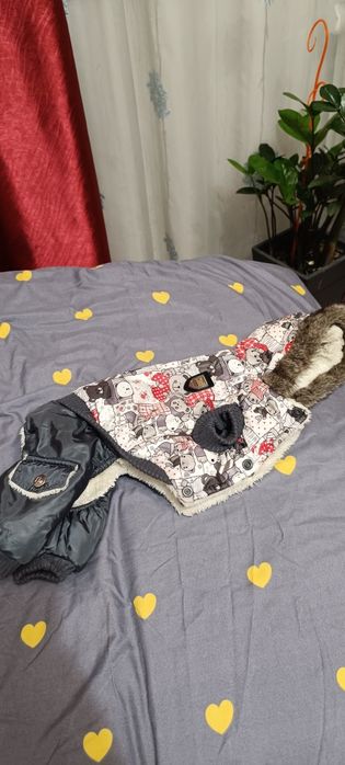 Продам одёжку и обувь для собаки