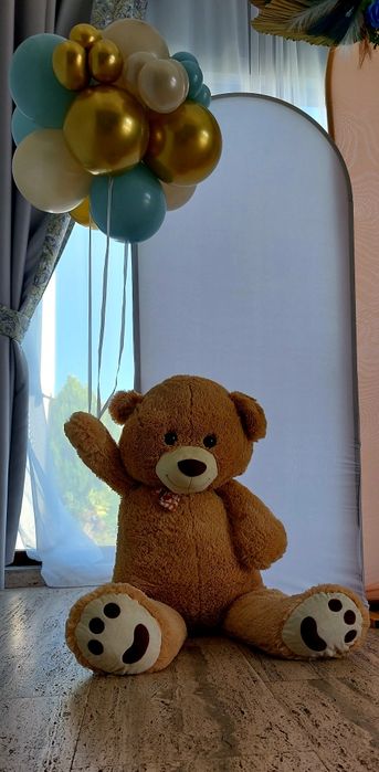 Colt foto și  decorațiuni