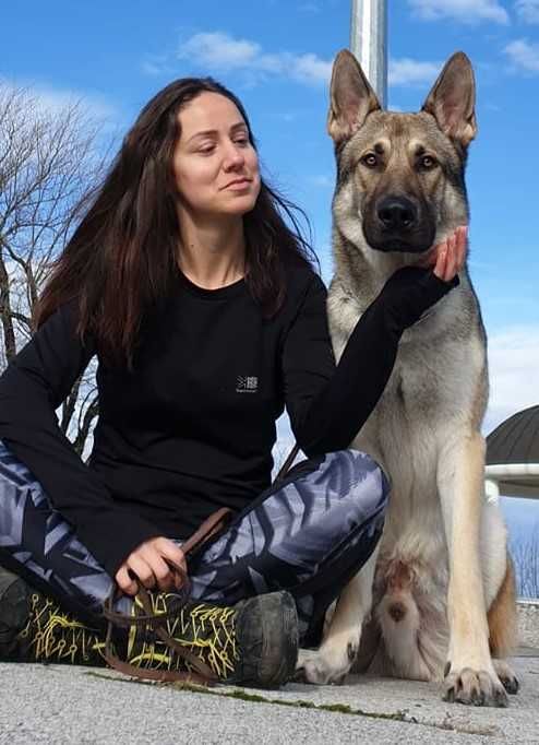 Чехословашки вълчак източно-европейска овчарка