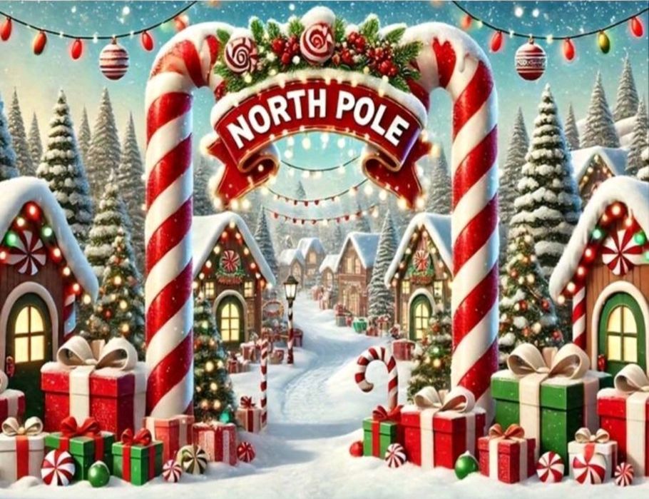 Коледен фон 100/150 см.