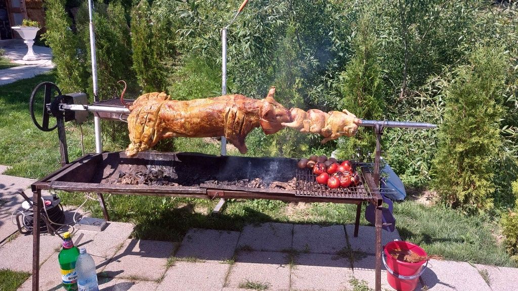 Proțap/rotisor porc,oaie,vițel,pui,rate