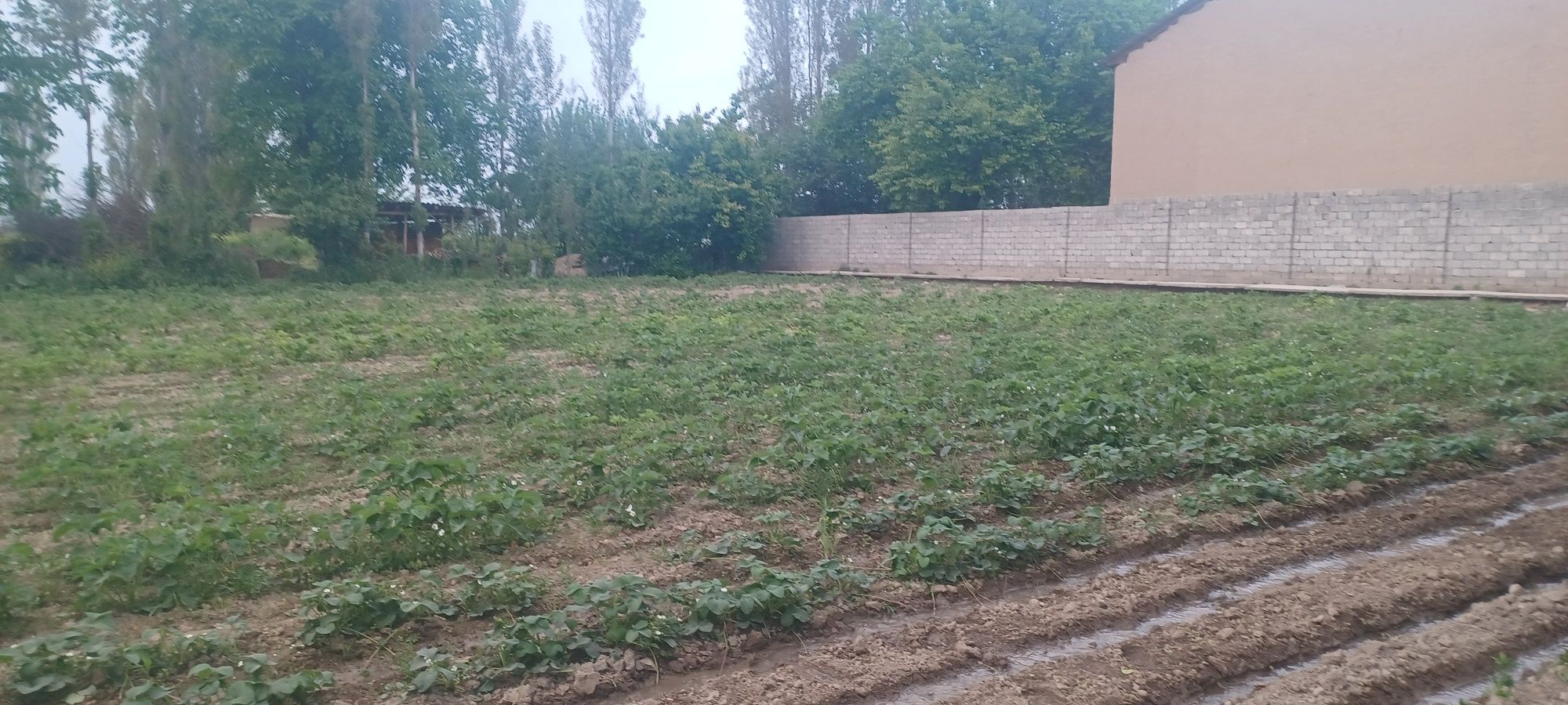 Уй жой ховли сотилади