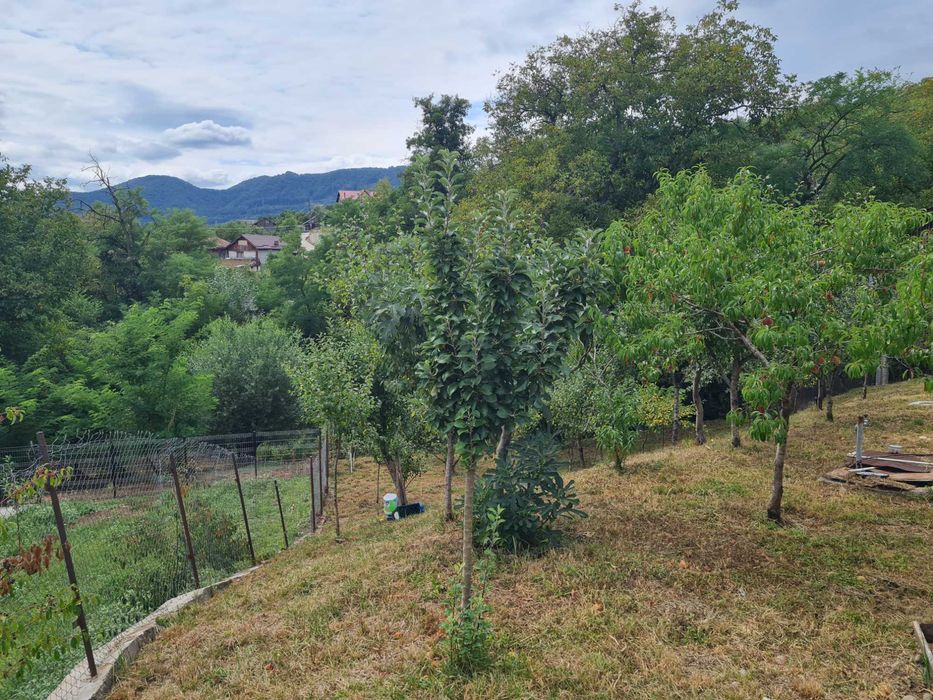 Vând teren intravilan