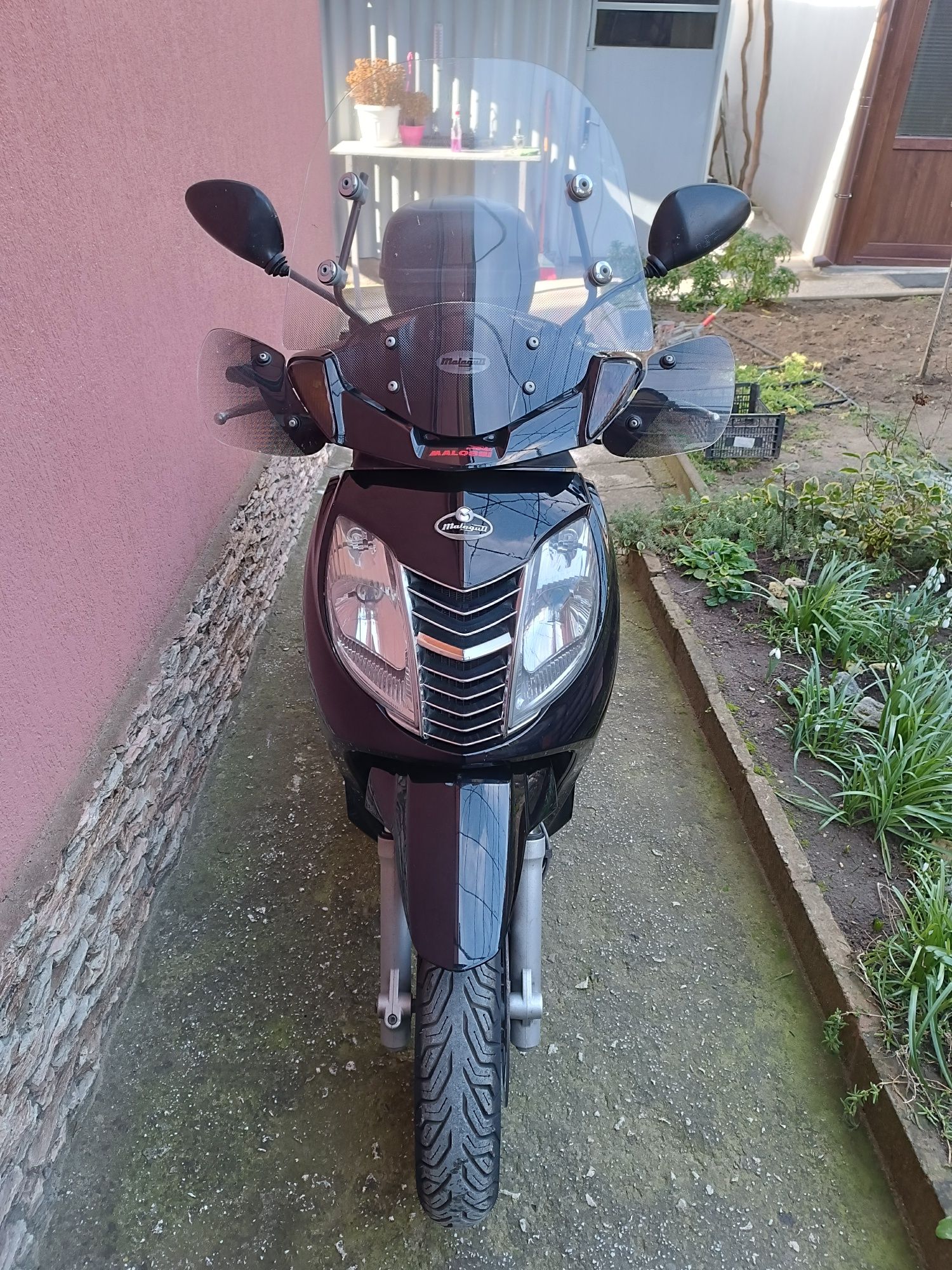 Malaguti Password 250