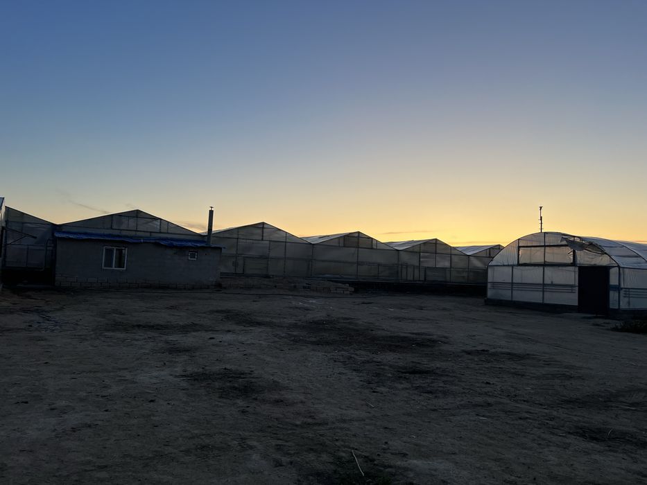 Теплицы срочно сатылады