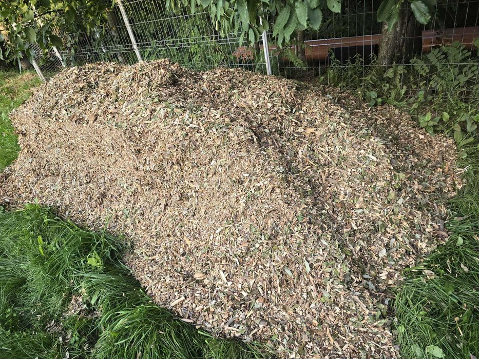 Vând biomasă forestieră (rumeguș)