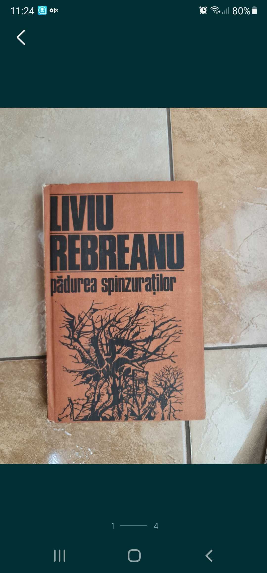 vand Liviu Rebreanu