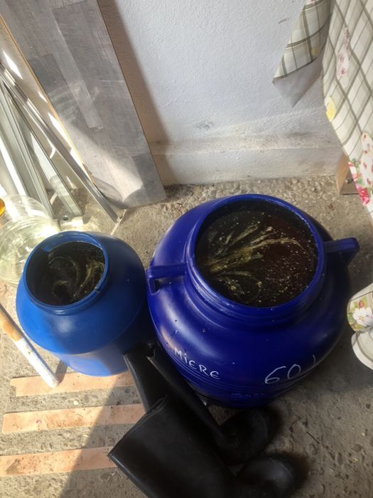 Miere polifloră