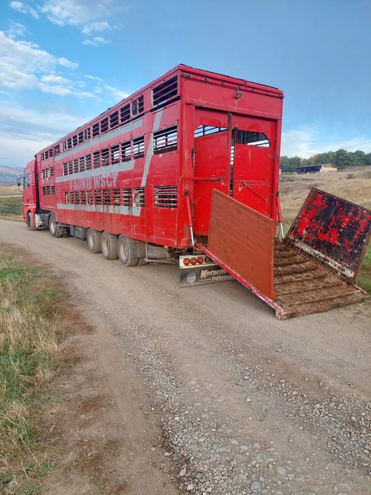 Vand semiremorca transport animale.