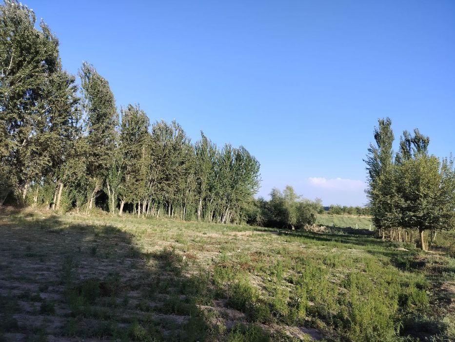 Yer uchastkasi sotiladi