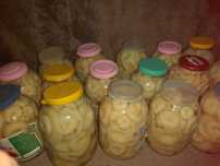 Продам грибы грузди,лисички,обабки