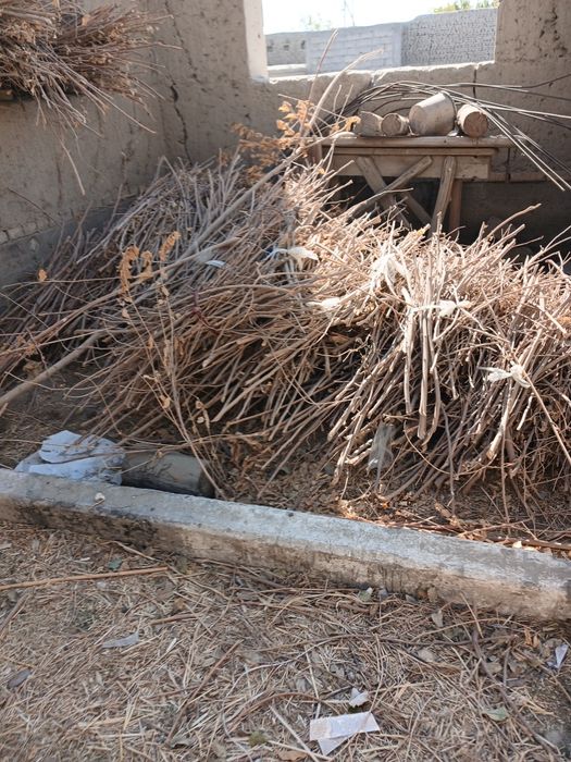 Tandirga oʻtin sotiladi