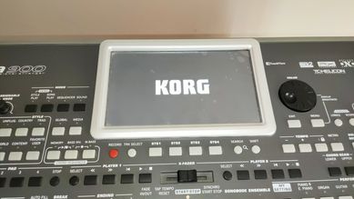 KORG Pa900 Professional