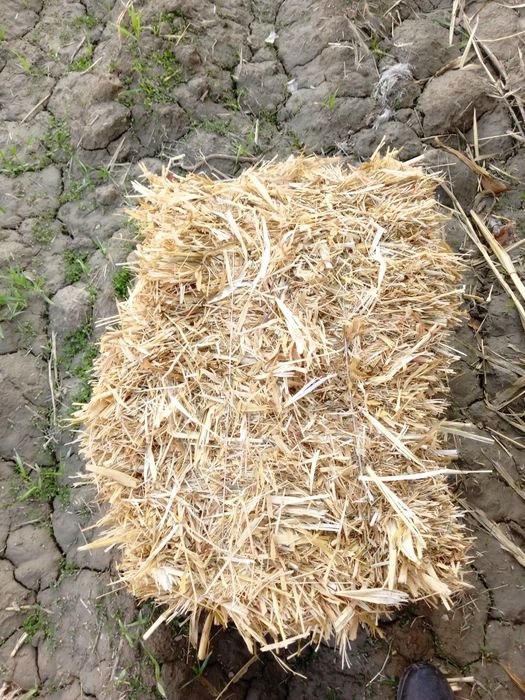 Mollar uchun sifatli barra boĝlik poya va poya preslar