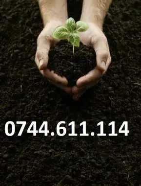 Pamant negru vegetal pentru gradina sau gazon SUPER PRET