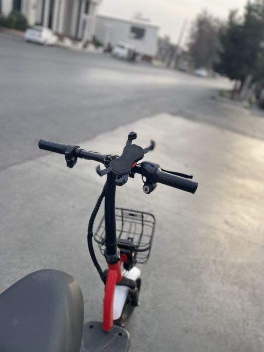 Qizil samakat xolati ideall