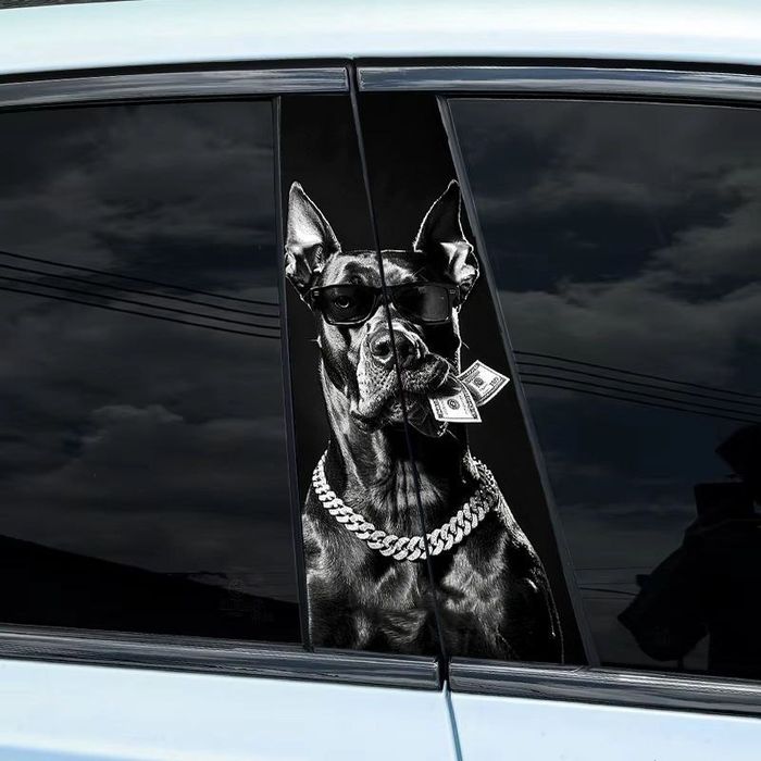 Наклейки на боковые стойки авто. Джентра, Cobalt, Byd. (Любое авто)