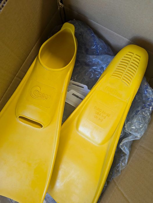 Labe de inot Ology Dardo Gabbiano 34-35