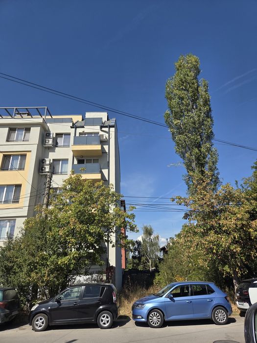 Рязане и кастрене на опасни дървета