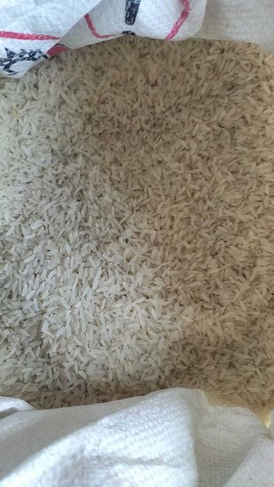 Рис лазер Казахстан