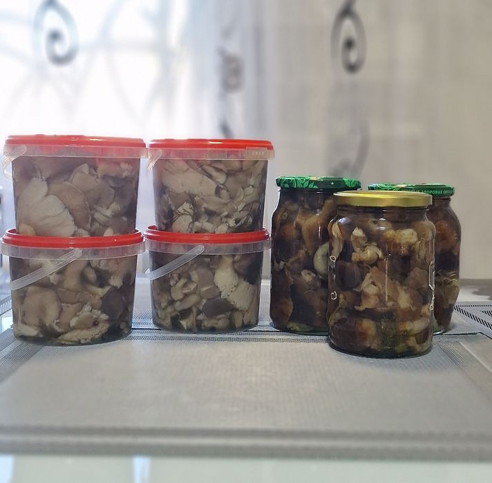 Грибы вешенки 1 литр