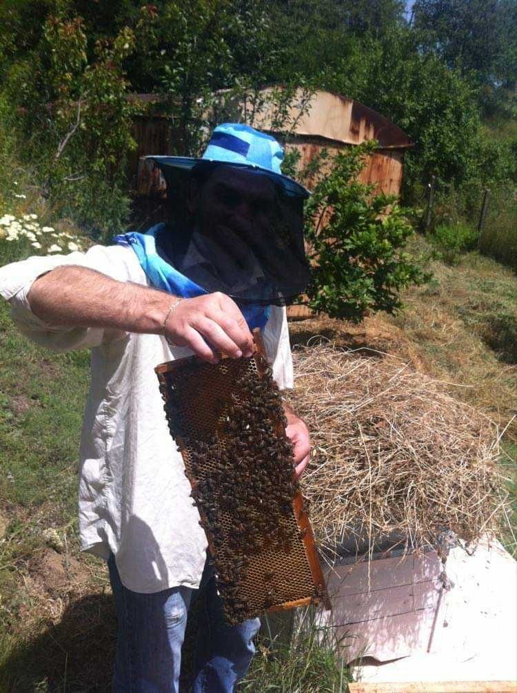 Пчелен домашен мед- букет