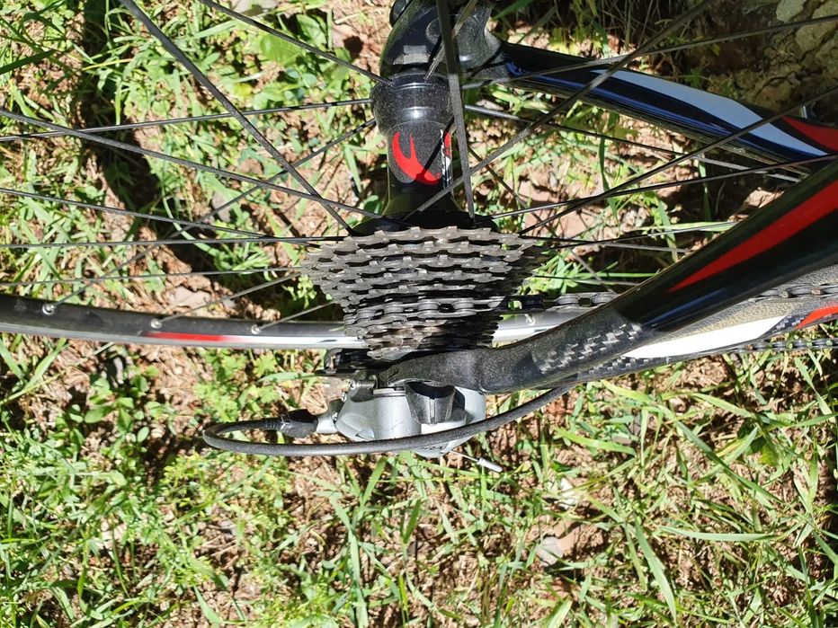 Cursiera Merida full carbon, full ultegra