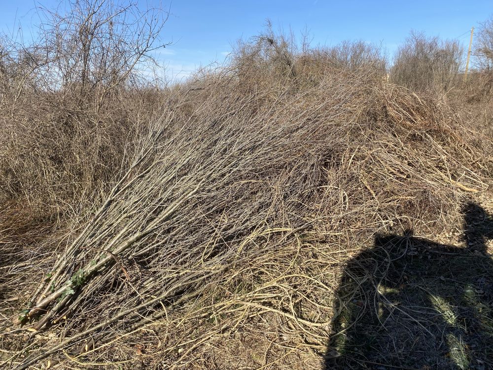 Почистване на градини и парцели с мулчер и дробилка за клони.