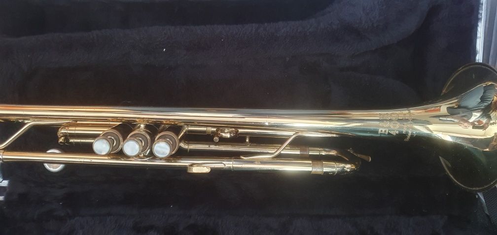Vand trompeta B&H 400.