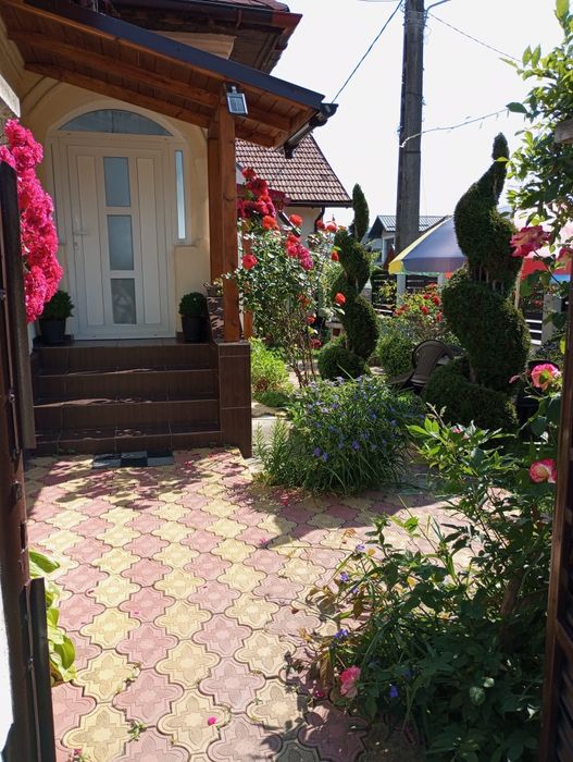 Cazare in Calimanesti Caciulata