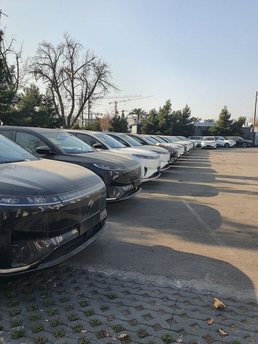 Dong Feng 008 Nalichida bor