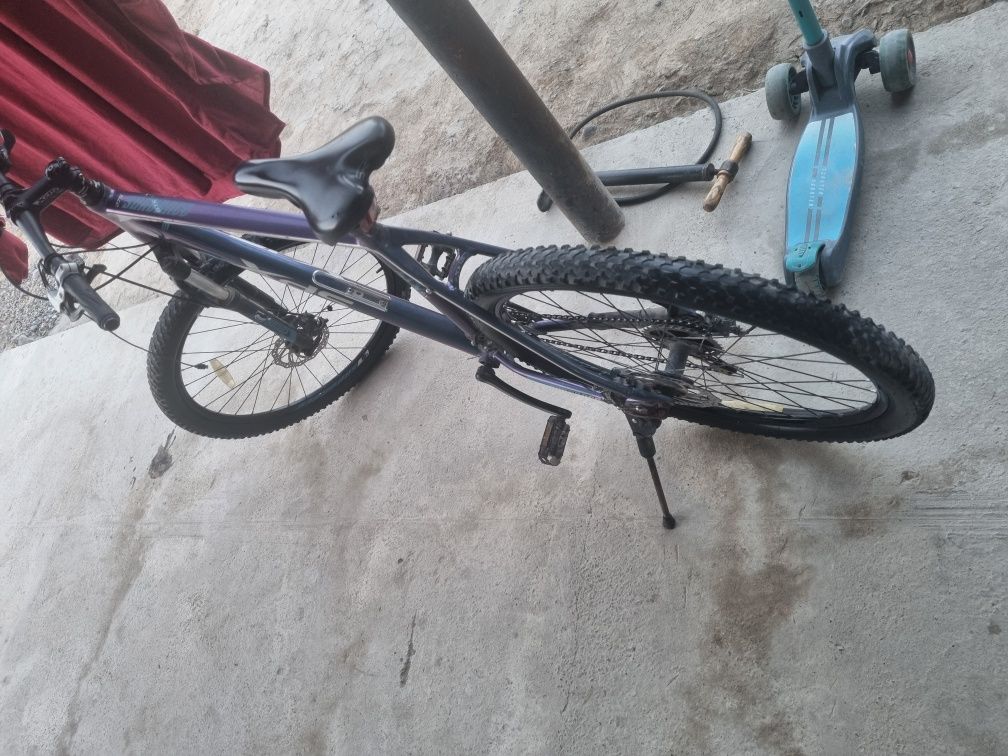 Xds510.         .