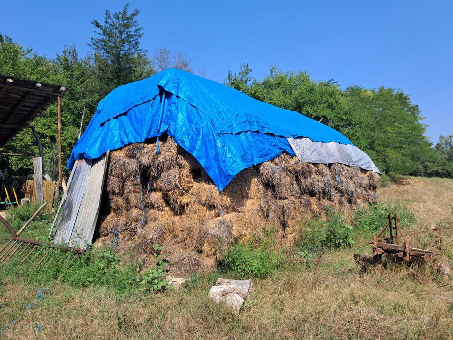 Disponibil baloti paie fân si lucerna