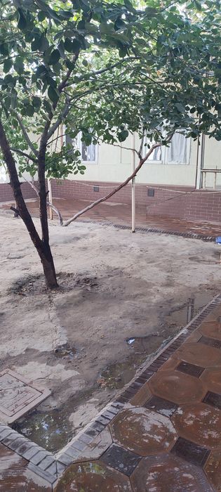 Kamolon 2,8 sotix xovli sotiladi