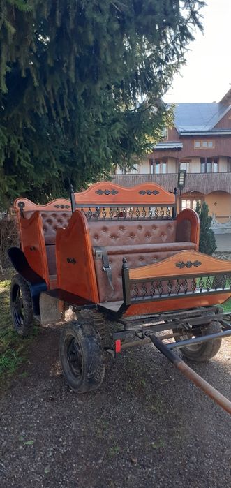 Vand cal si caliasca construita artizanal cauciucuri rezerva