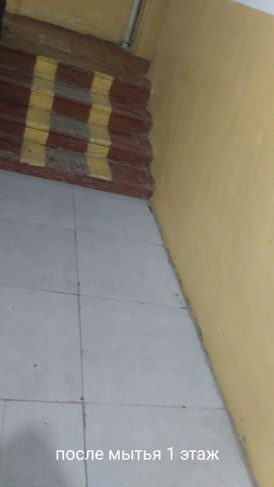 Делаю качественную уборку подъездов