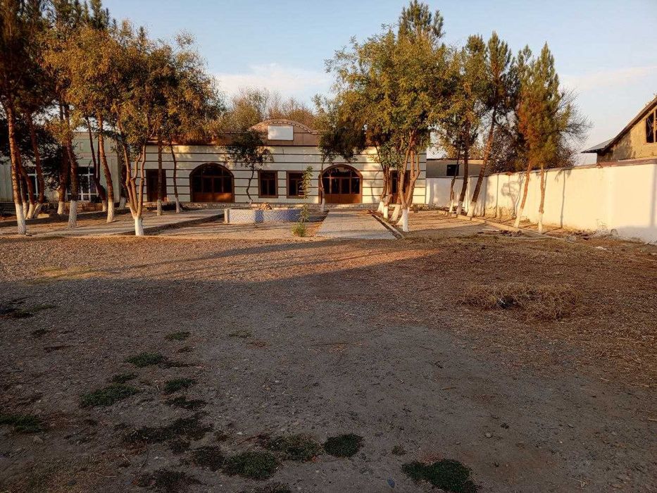 Фойда келтираётган кафе-столовая сотилади,