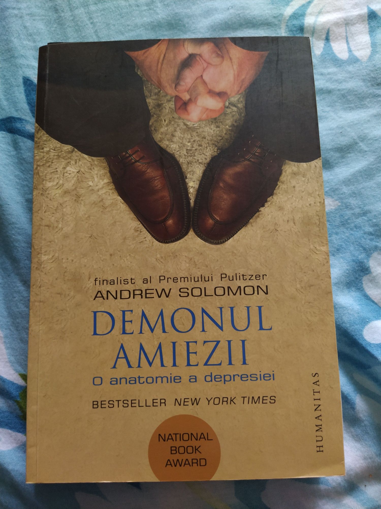 Demonul amiezii -Andrew Solomon