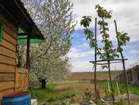 Vand teren in zona Hudum