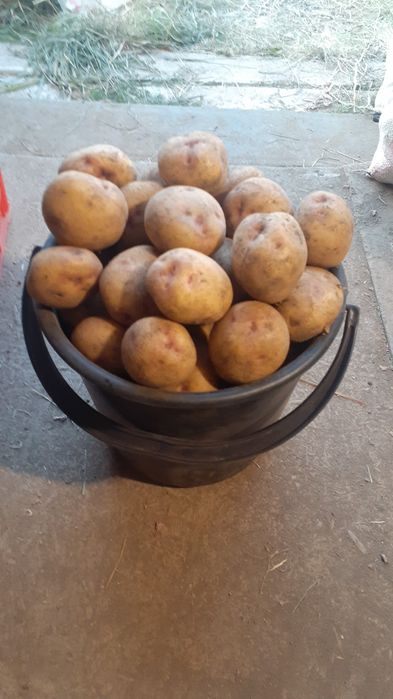 Продам 3000тенге