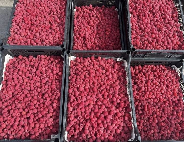 Свежая ягода,отборная